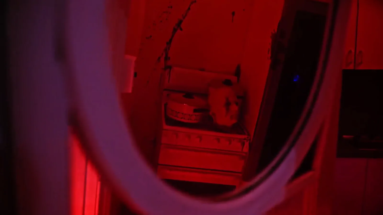 An oval mirror reflecting a red-lit room in the Cannibal escape room